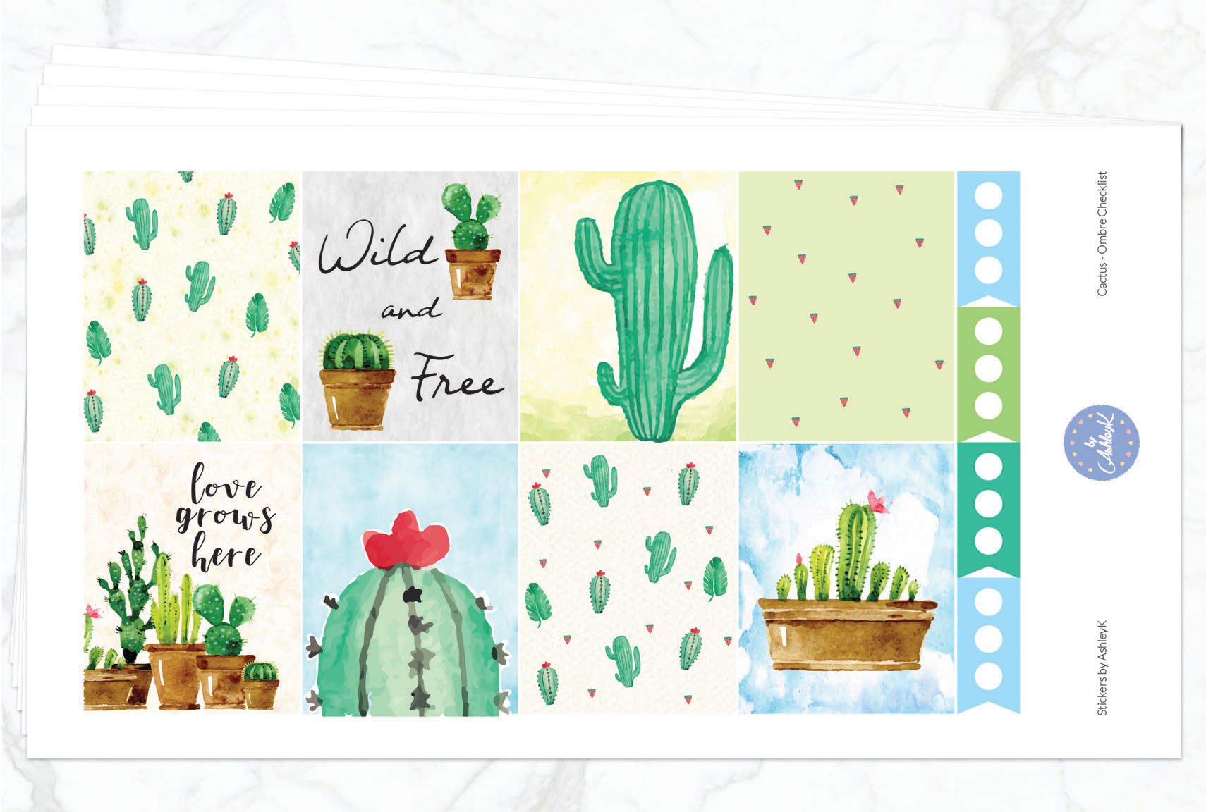 Cactus - Full Kit