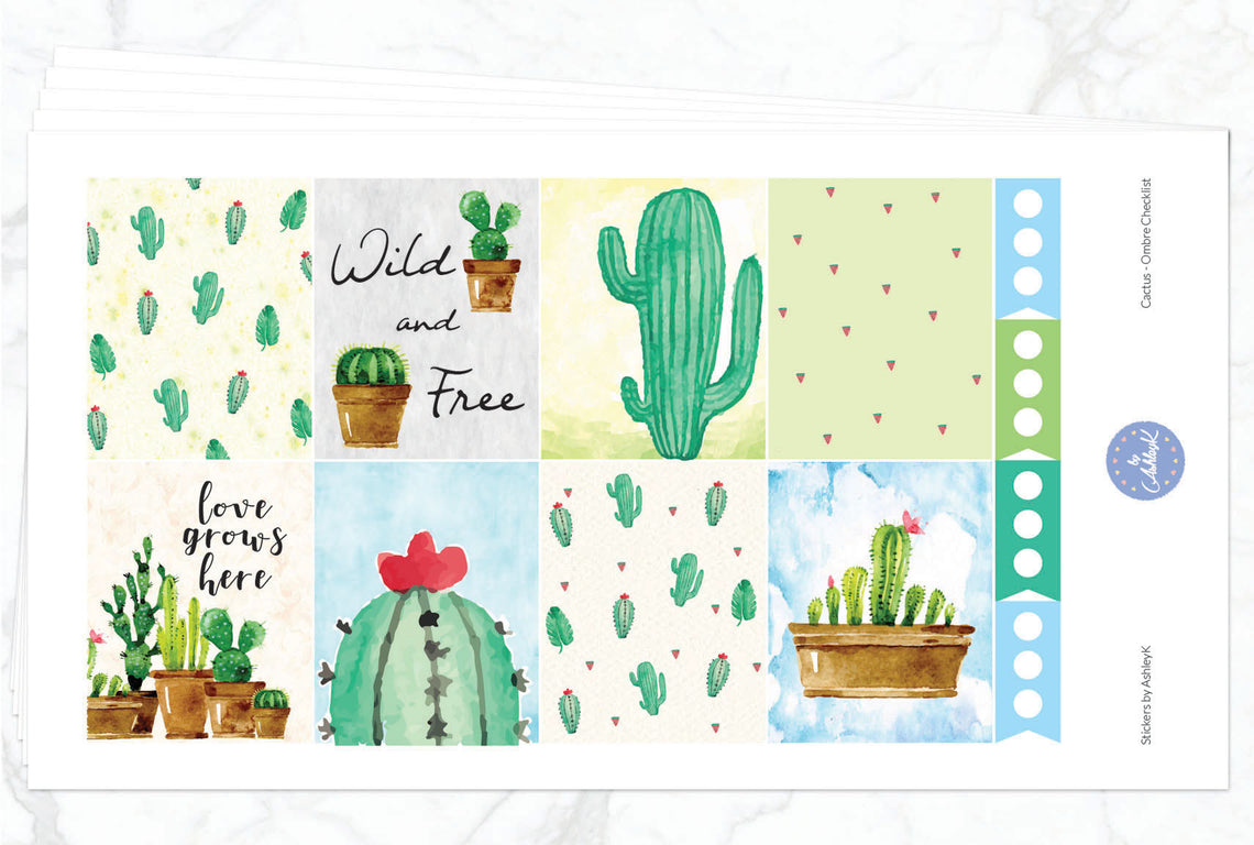 Cactus - Full Kit
