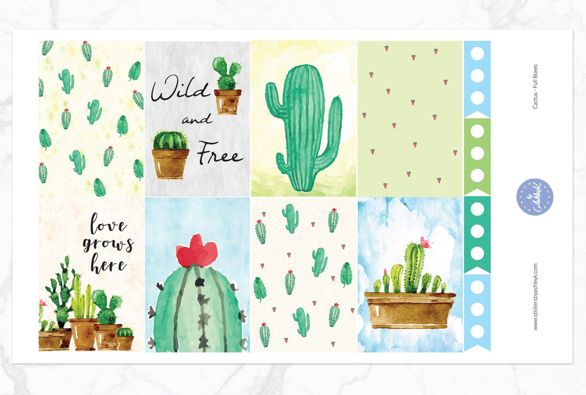 Cactus Weekly Kit  - Full Box Sheet