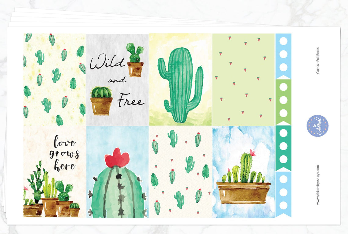 Cactus Weekly Kit  - Full Kit