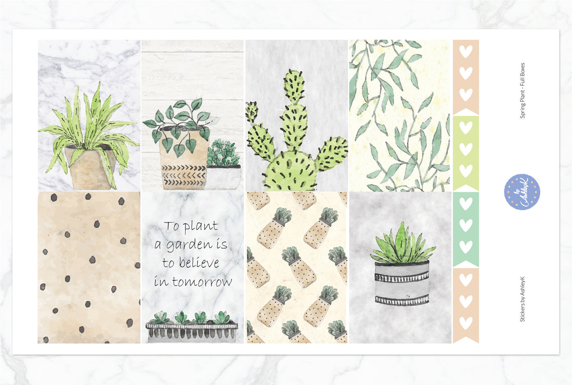 Spring Plant - Full Box Sheet