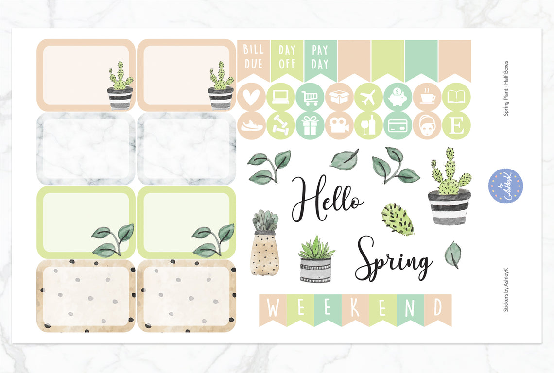 Spring Plant - Half Box Sheet