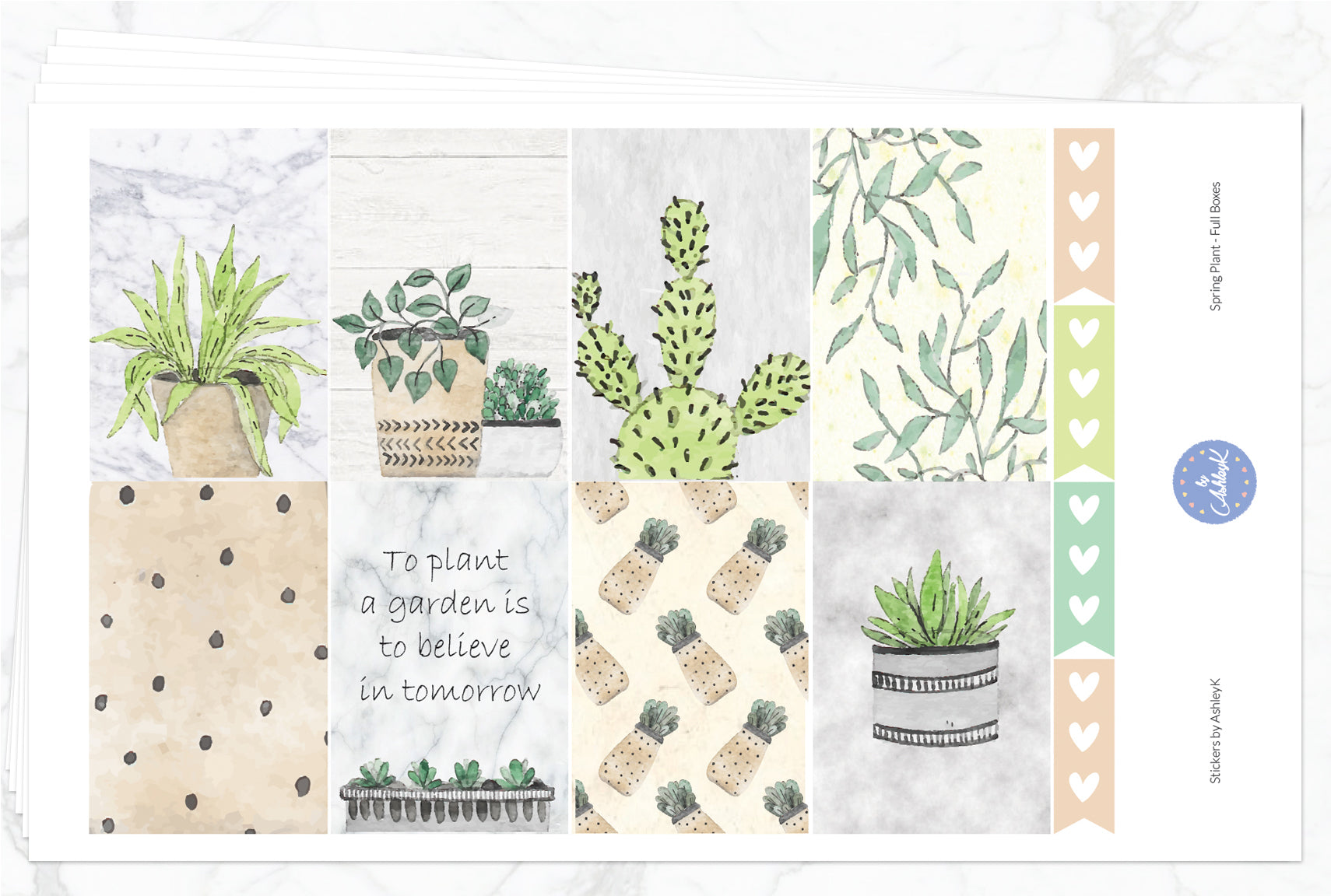 Spring Plant - Full Kit