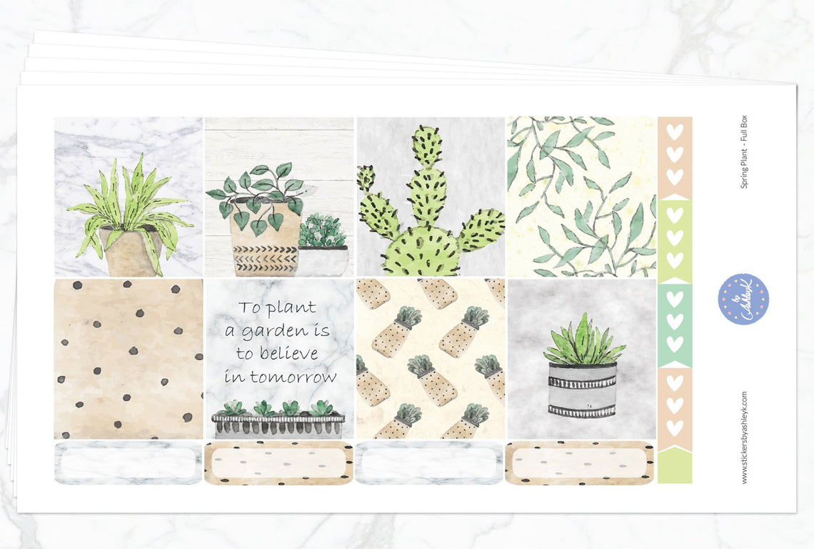 Spring Plant Weekly Kit  - Full Kit