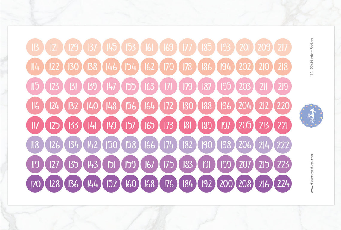 113~224 Numbers Planner Stickers - Raspberry
