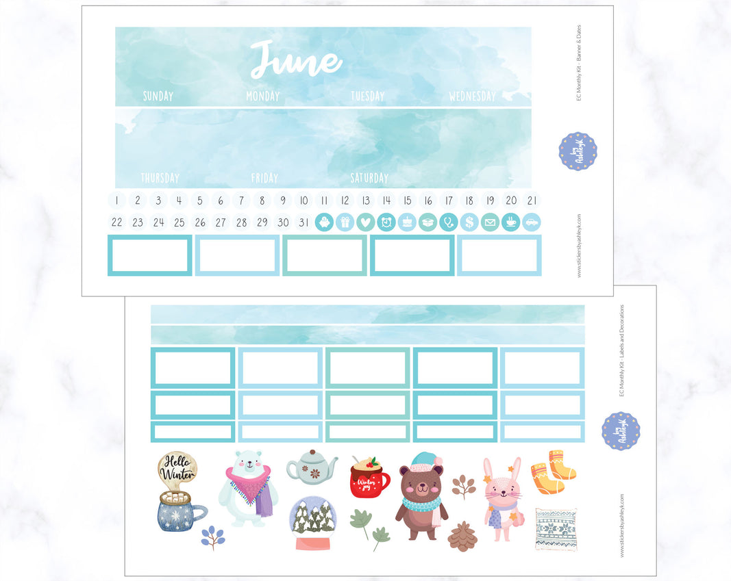 Erin Condren June Monthly Kit